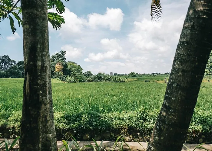 Grun Canggu *